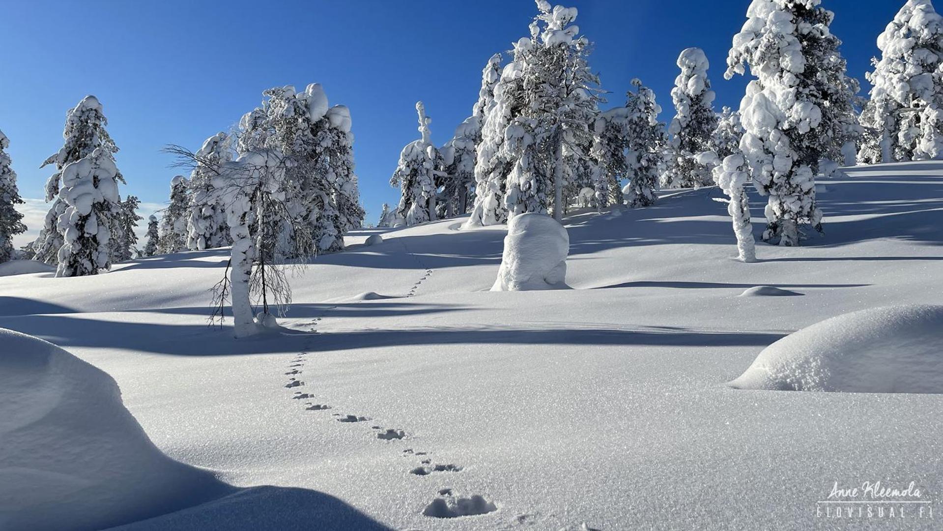 Milis Chalet Ylläsjärvi エクステリア 写真